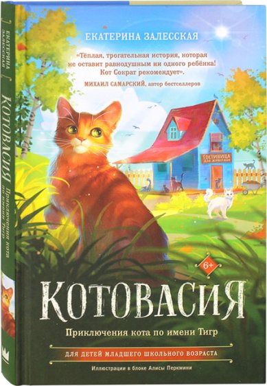 Книги Котовасия. Приключения кота по имени Тигр Залесская Екатерина