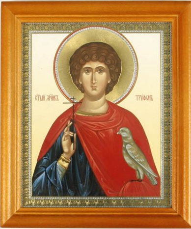 Иконы Трифон мученик икона с открыткой День Ангела (13 х 16 см, Софрино)