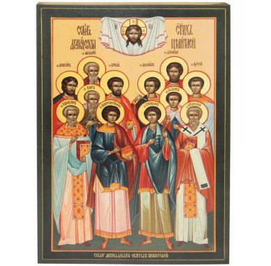 Иконы Собор 12-ти святых целителей икона (20 х 28,5 см) 