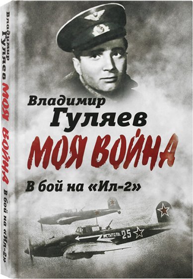 Книги В бой на «Ил-2». Нас называли «черной смертью»